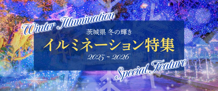 茨城県 冬の輝き - 2025-2026 イルミネーション特集