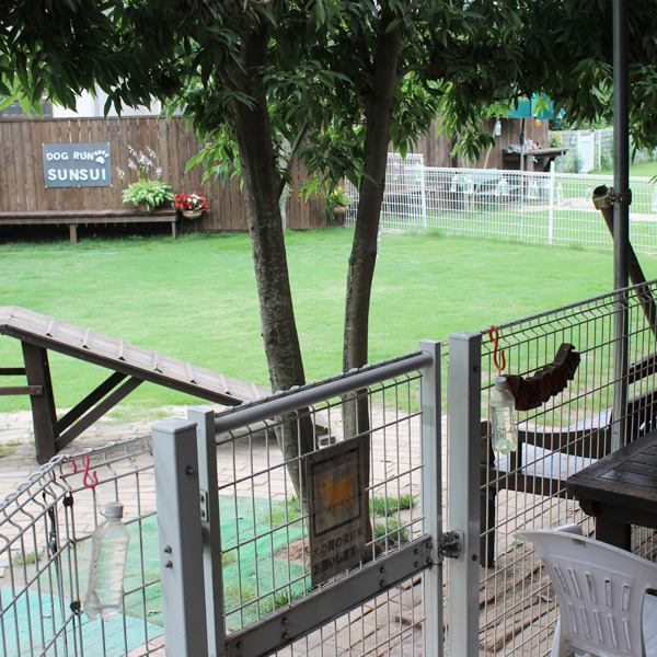 ドックラン＆カフェ SunSui