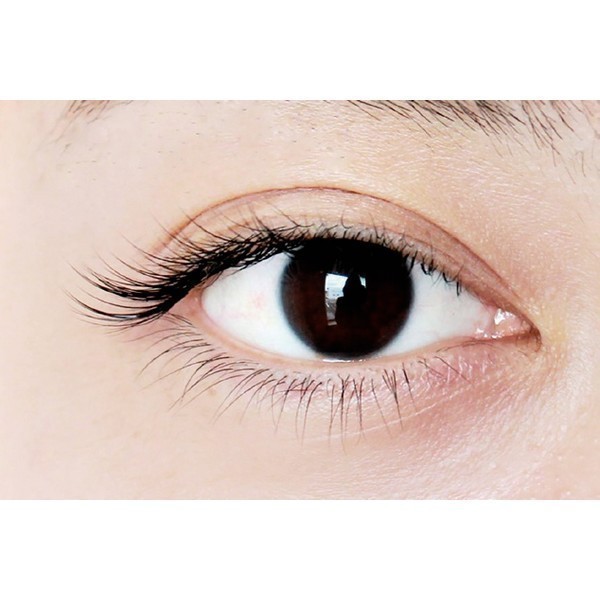 eyelash salon feliĉeto