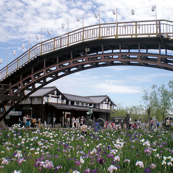 水郷潮来あやめ園