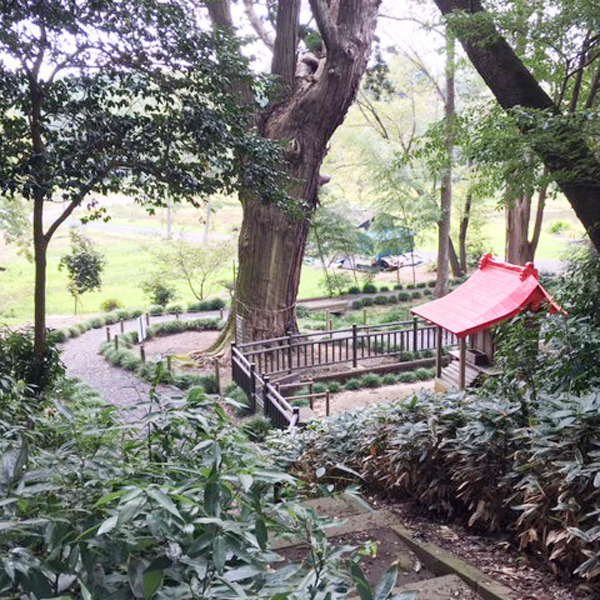 清水洞の上公園