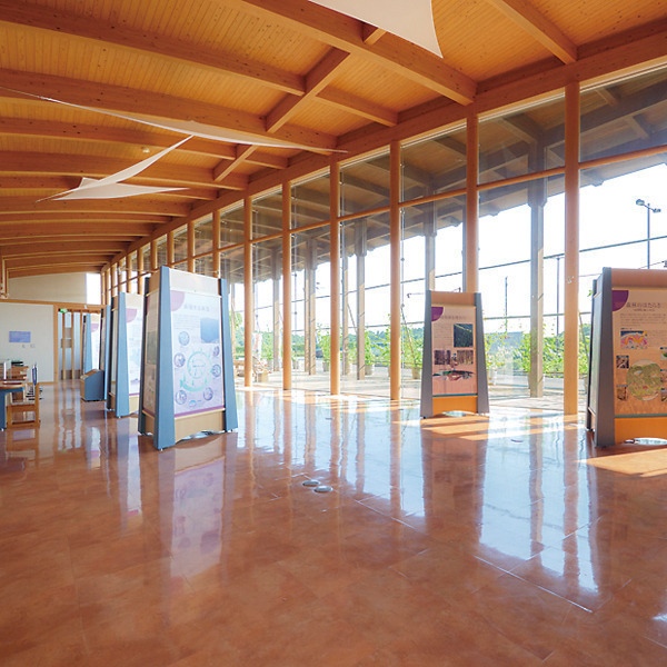 茨城県水郷県民の森