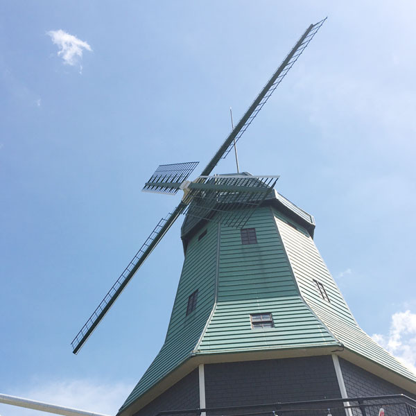 霞ヶ浦総合公園