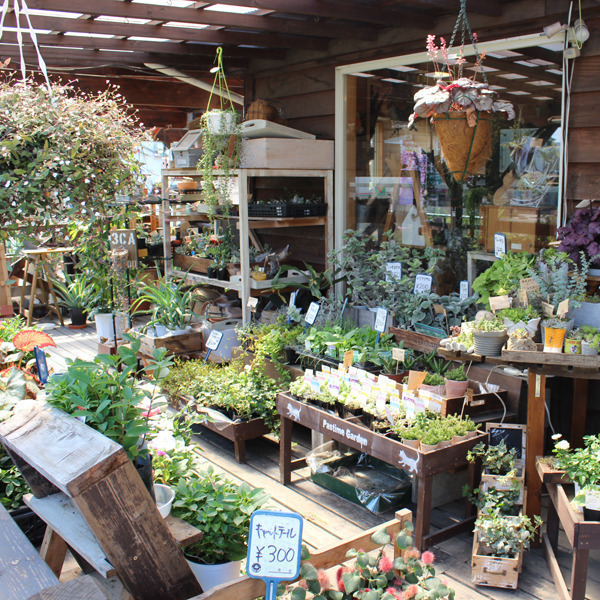 フラワーハウス 花いちもんめ