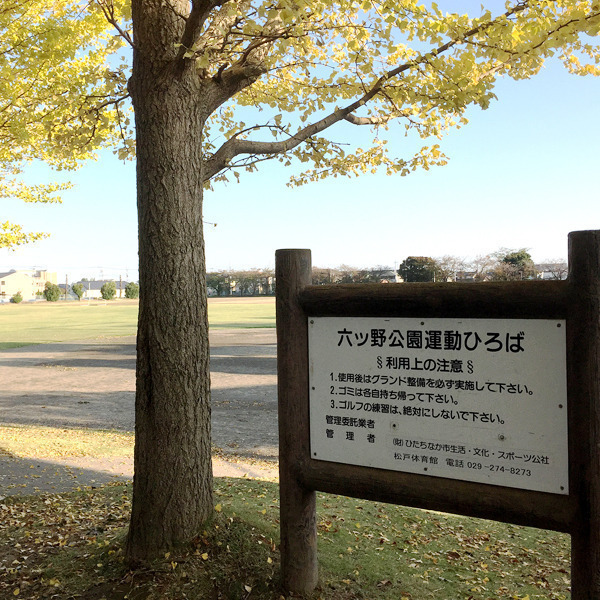 六ツ野公園運動ひろば