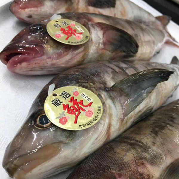 食べれる魚や 魚めし屋