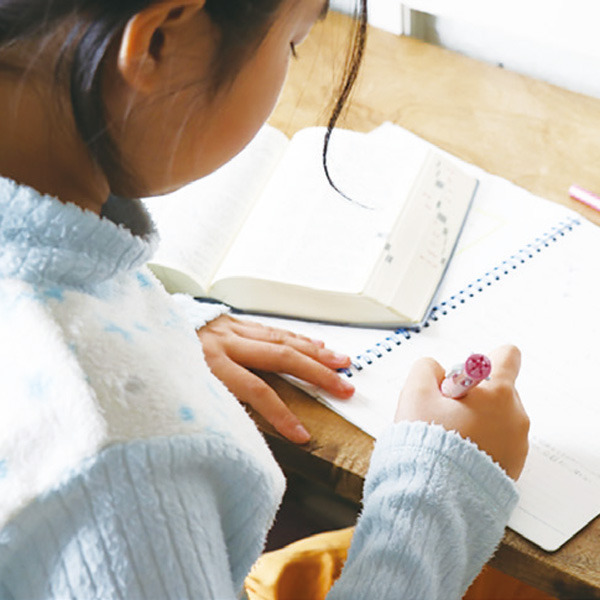 フェニックス個別学習倶楽部 城南校