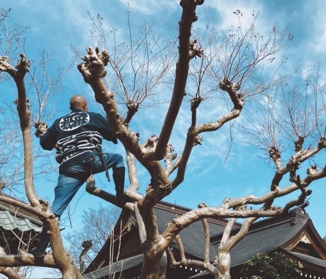 株式会社一番松