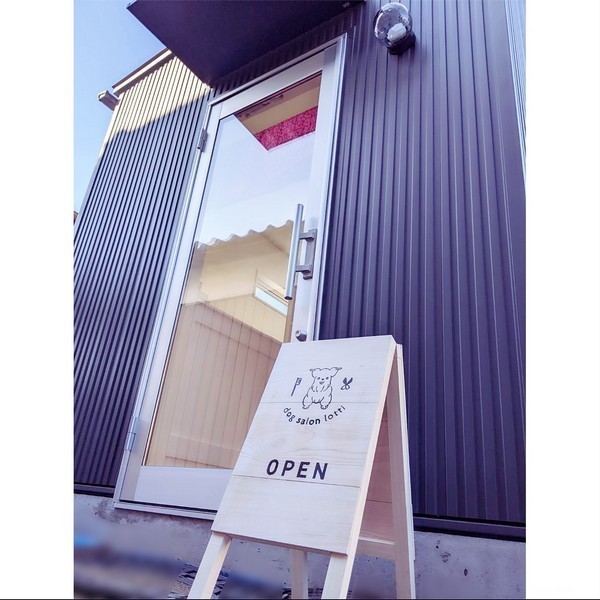 dog salon LOTTI