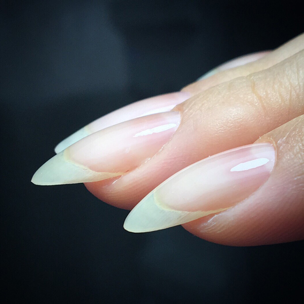 自爪育成サロンAula