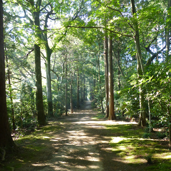 天台宗 別格本山 元三大師 安樂寺