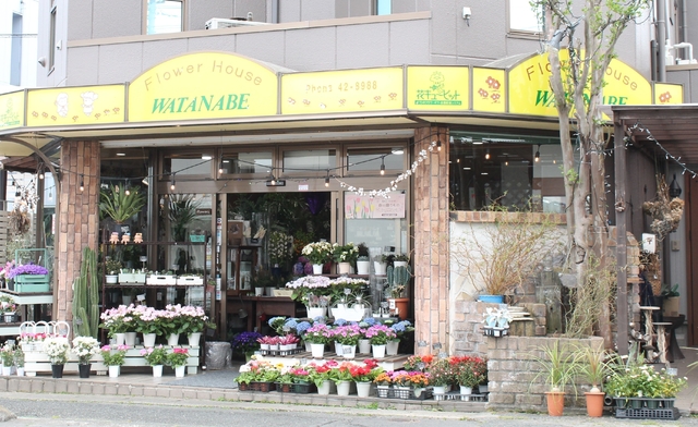 フラワーハウスワタナベ