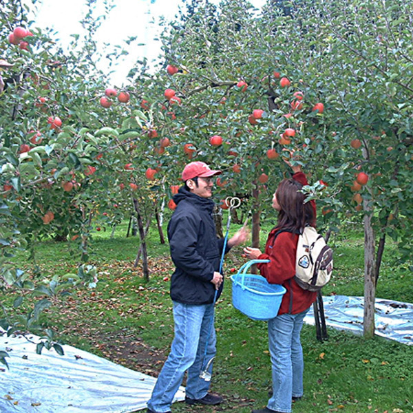 藤田観光りんご園　