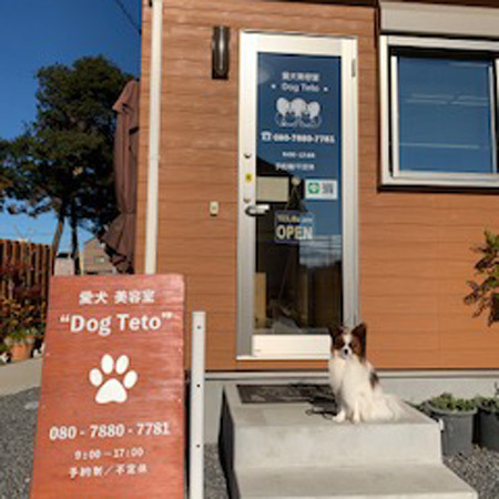 Dog Teto （ドッグテト）