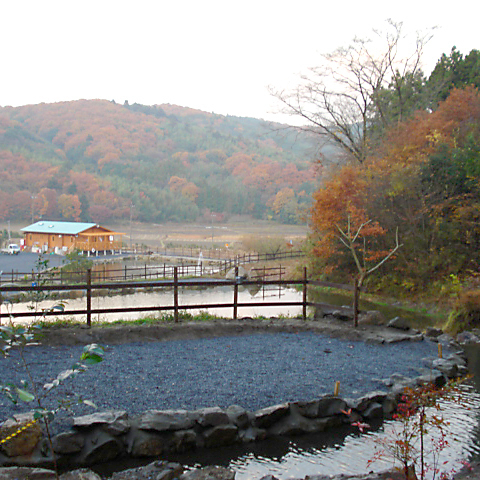 ミッドクリークフィッシングエリア