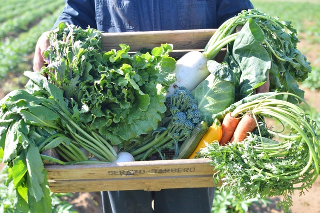 ごきげんファーム