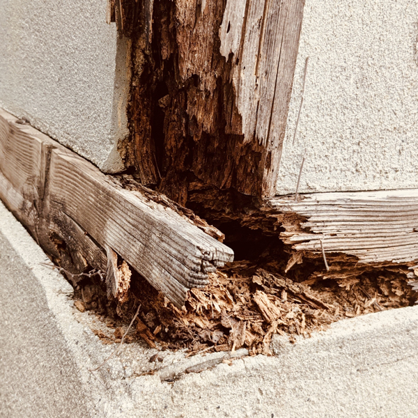 (株)セーフティハウス