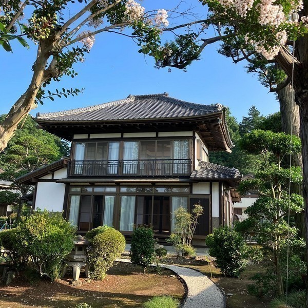 カウンセリングルーム 草木萌動