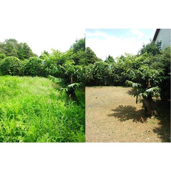 便利屋何でも屋 ぽち