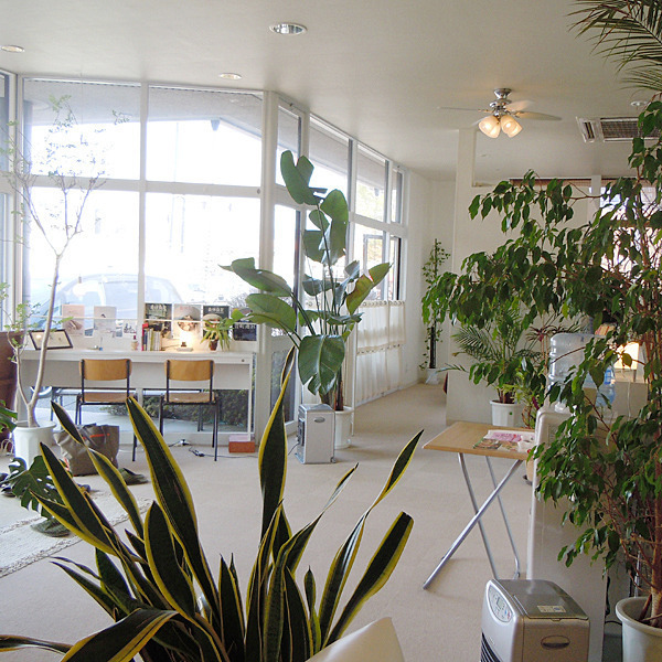 整体治療院 青龍