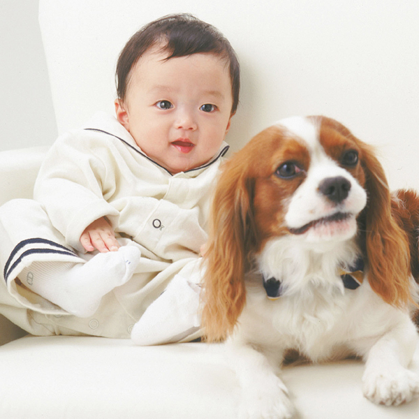 アンフィニプロダクト