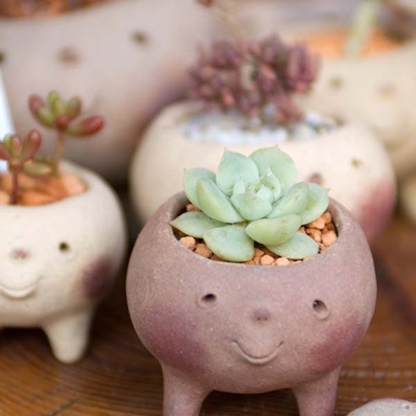 植物工房 四季館