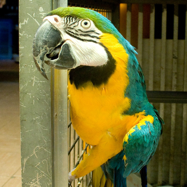 ペットサロンナカタニ 取手店