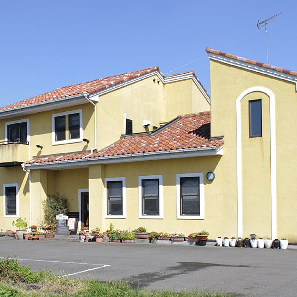 ナチュラルセンスいのせ