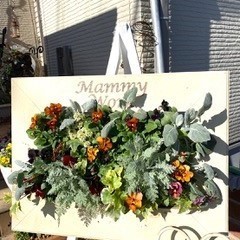 寄せ植えサロン マミーワーク