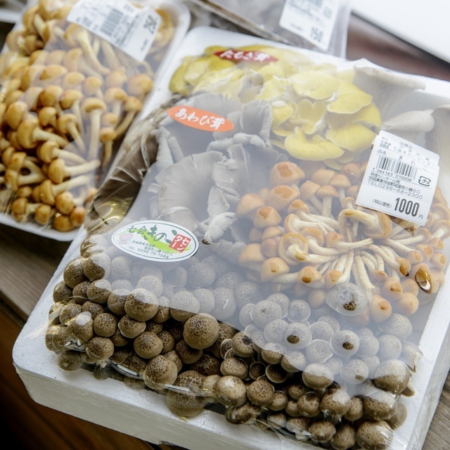 城里町物産センター 山桜