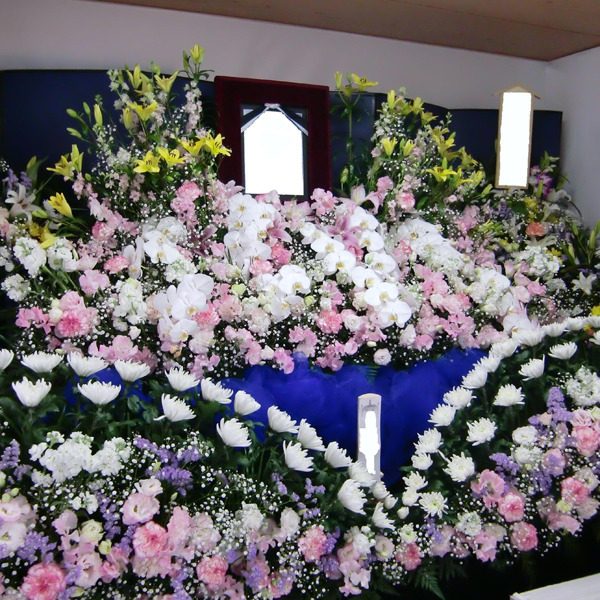 ウォーターリリー・セレモニー