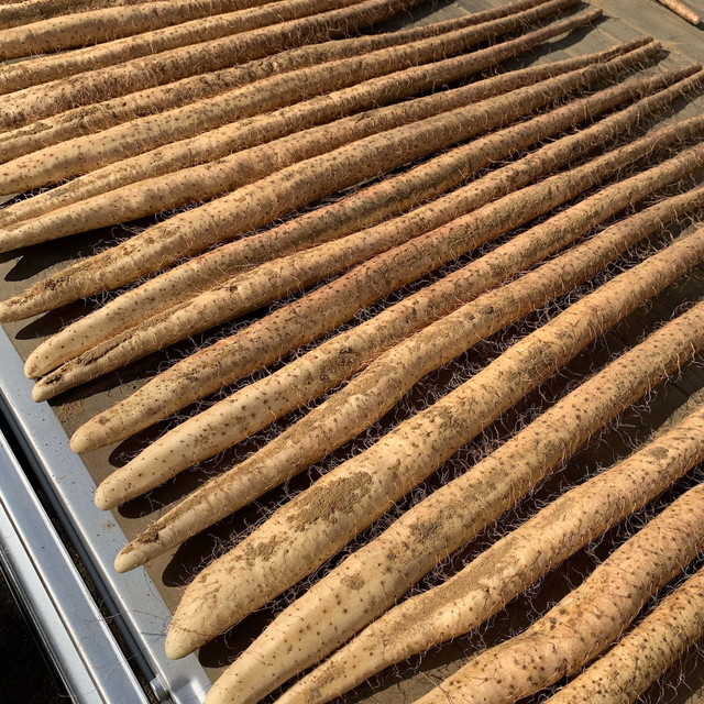 株式会社新関フードサービス　新関ファーム