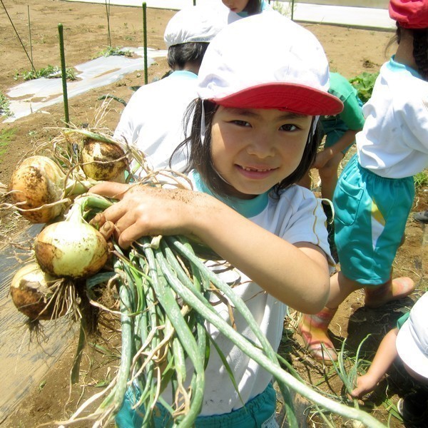 青葉台初等・中等学部