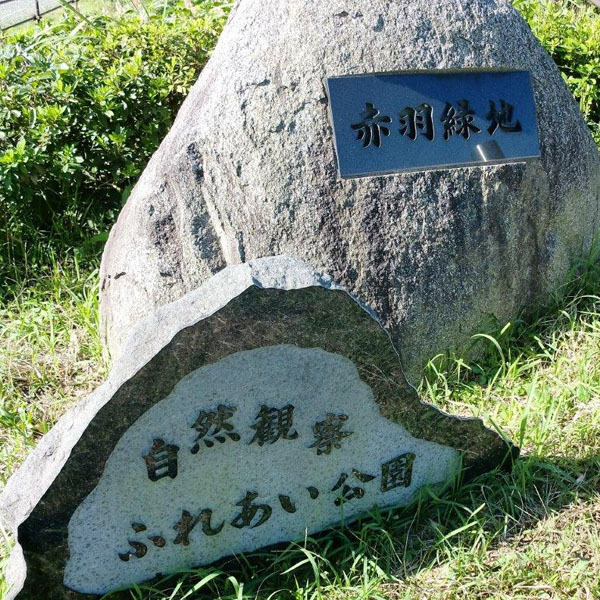 自然観察ふれあい公園 赤羽緑地