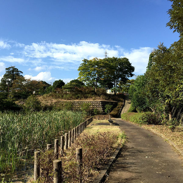 日立市切関公園