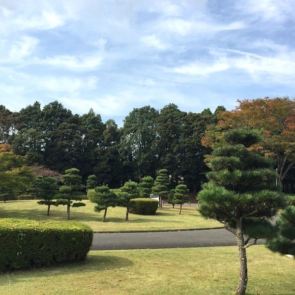 高萩市森林公園(お手まき記念の森)