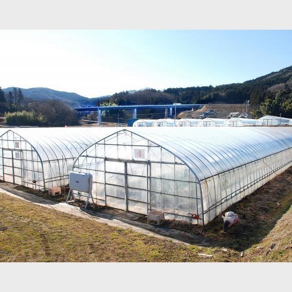 南指原観光いちご園