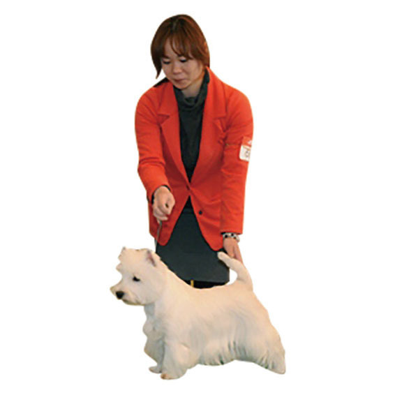 ワンちゃんのとこやさん じぇむ