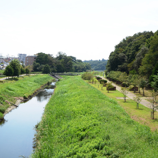 逆川緑地