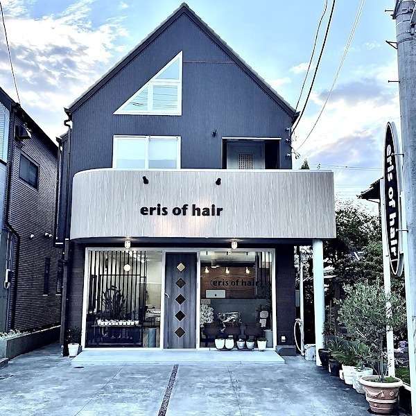eris of hair