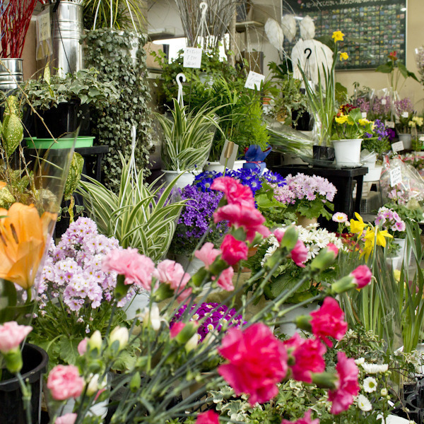 いしかわ生花店