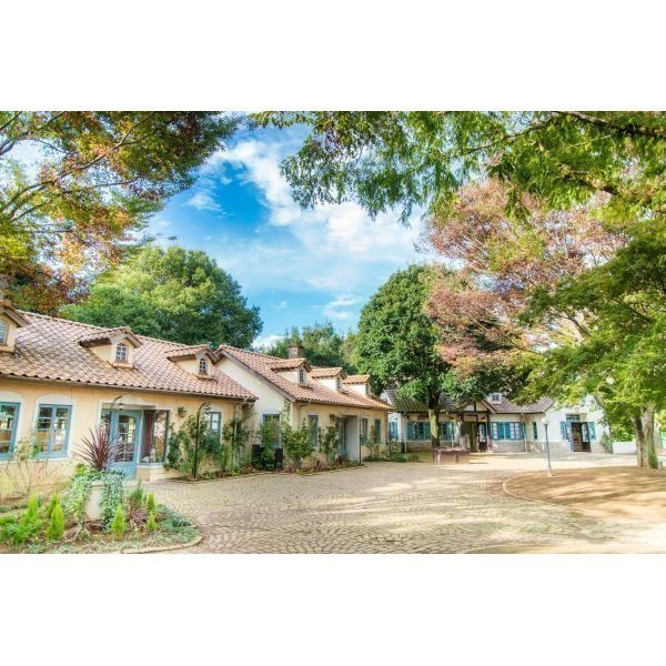 こもれび森のイバライド