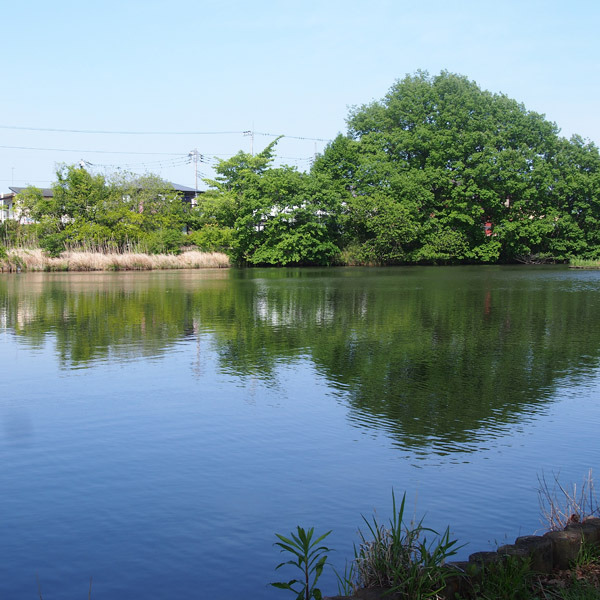 弁天池公園