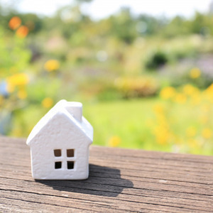 株式会社たちかわ企画  Tachikicax