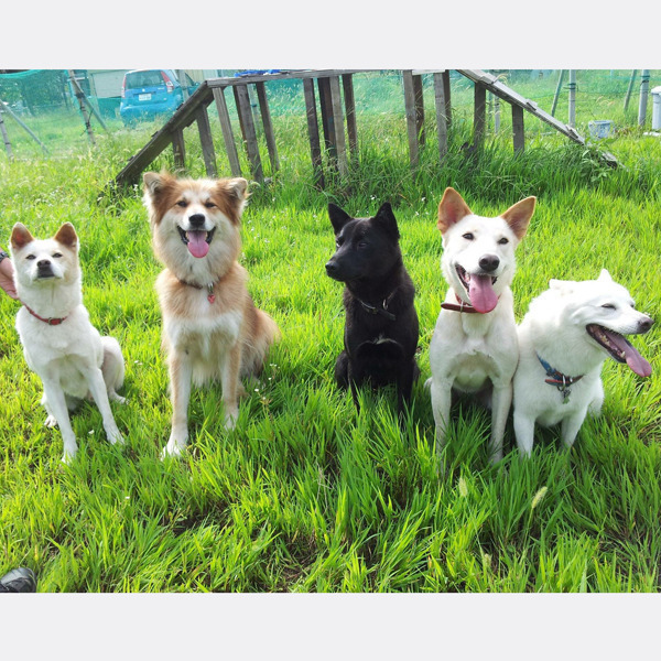 NPO法人キドックス