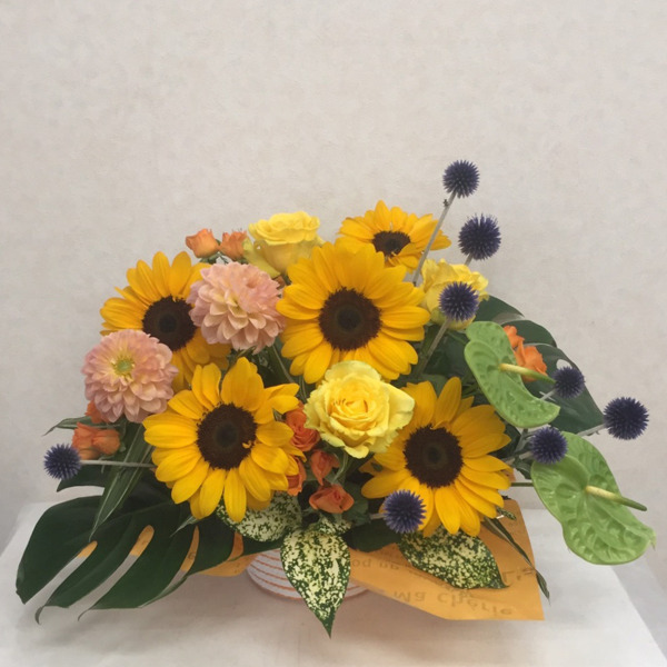 FLOWER SHOP あさの