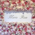 美と健康と痩身サロン Maria Rose -マリアローズ-