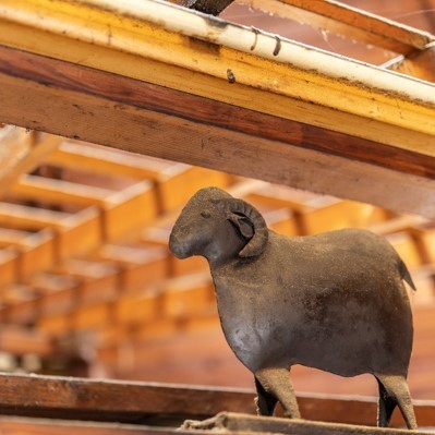 世界で最も良質なオーストラリア産ラム肉