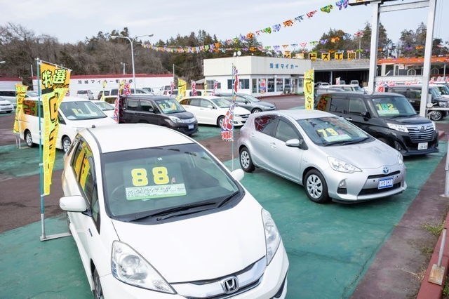 とことんこだわる仕入れ車両